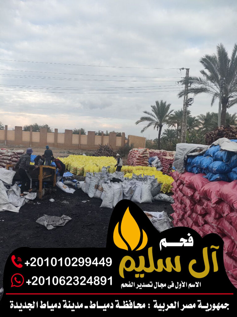 شركات الفحم
