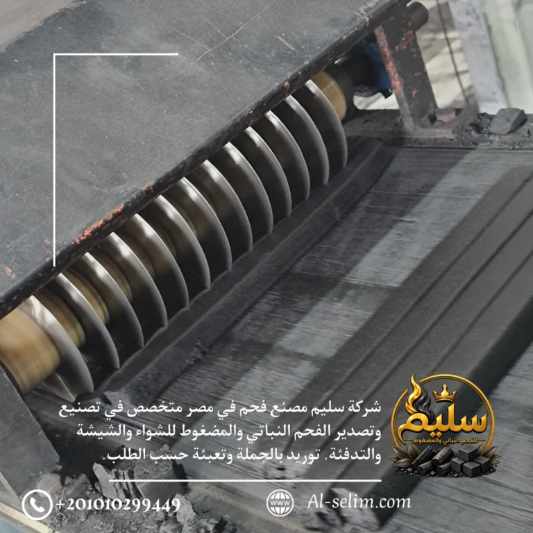 خطوط إنتاج الفحم في مصنع سليم للفحم بدمياط