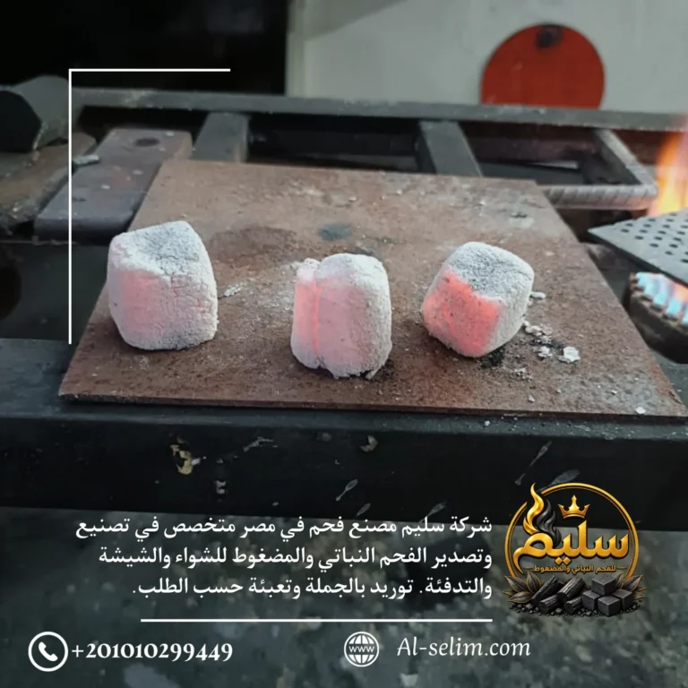 Coconut shisha charcoal cubes burning