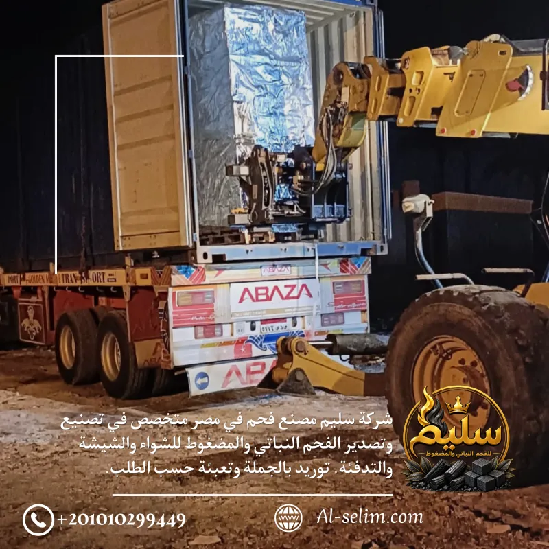 شحن الفحم في حاوية للتصدير من مصنع سليم في مصر