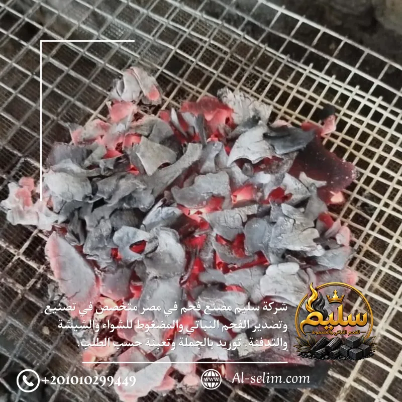 Coconut briquettes in different sizes for hookah