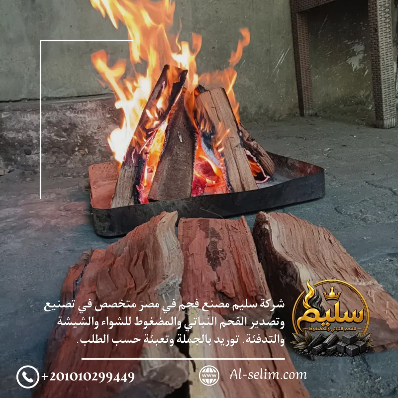 حطب سنط وزيتون مشلّع (مفلوق) مشتعل