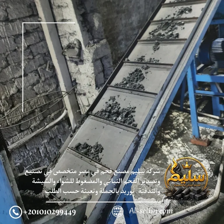 سير نقل خامة الفحم إلى المكبس في مصنع سليم للفحم