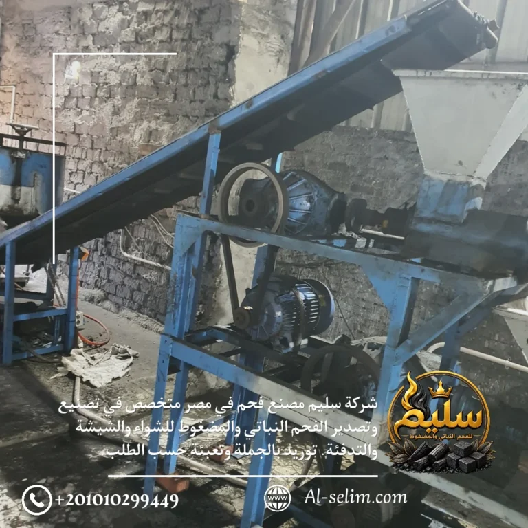 خط تغذية الفحم المضغوط ومحركات التشغيل في مصنع سليم